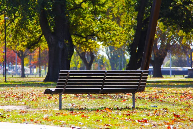 park bench